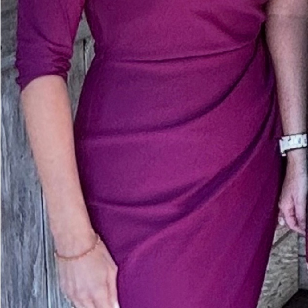 Alex Evenings Plum Long Sleeve Sheath Dress
